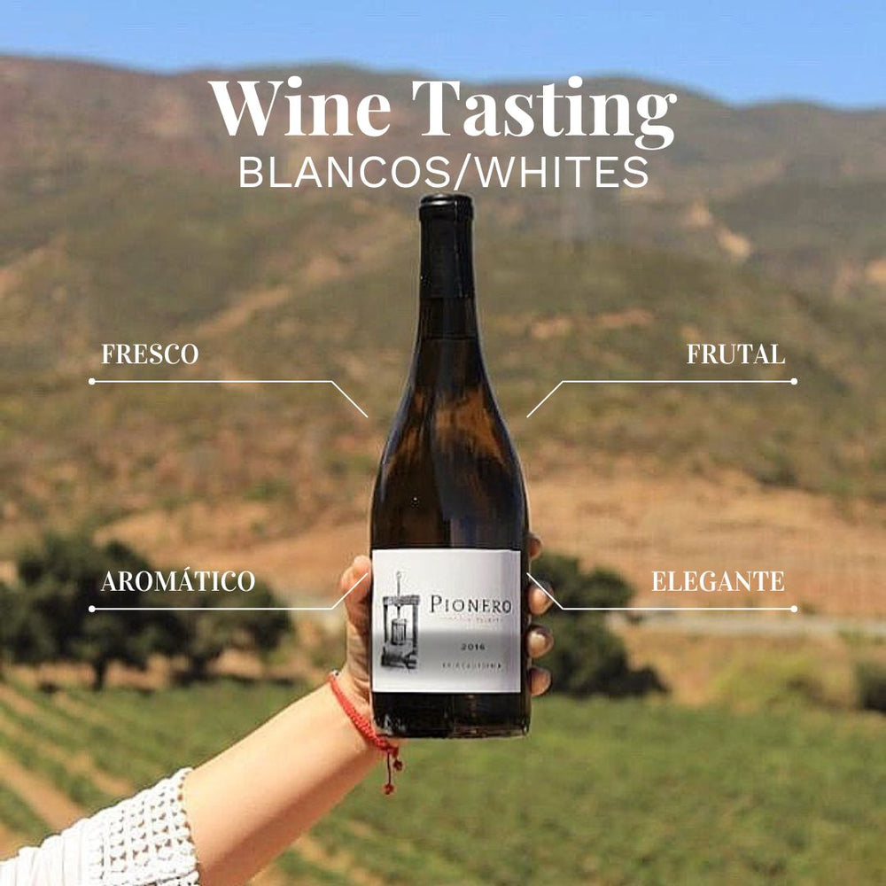 Wine Tasting | Blancos/Whites