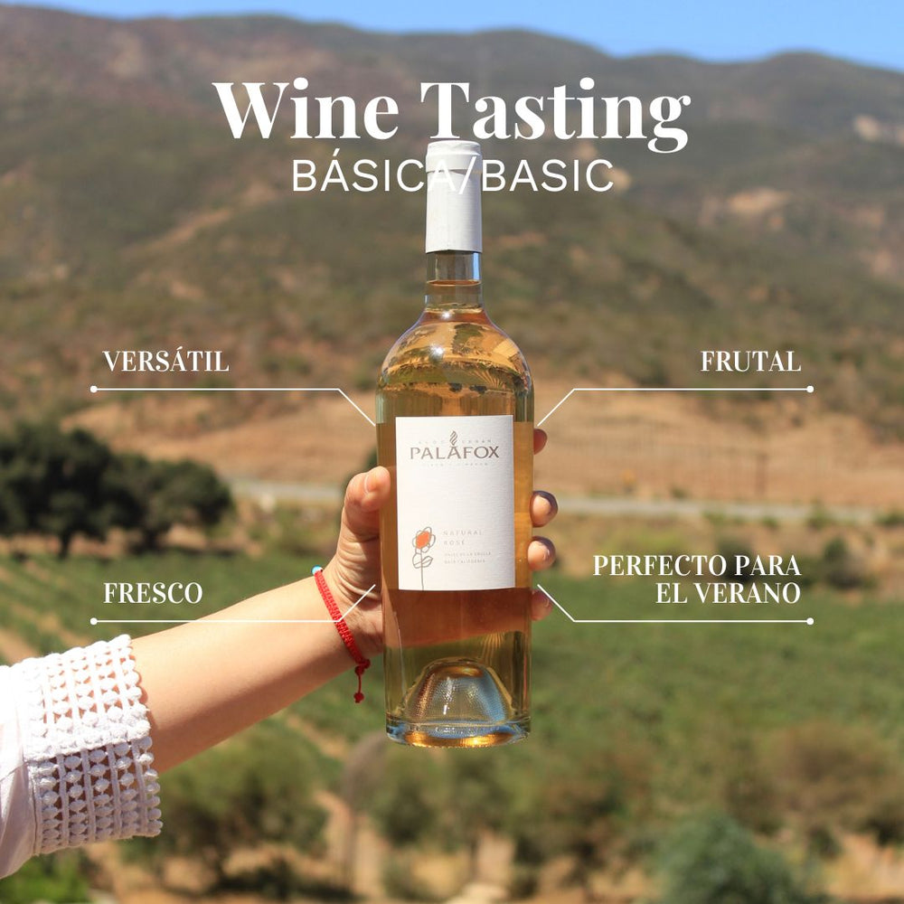 Wine Tasting | Básica/Basic