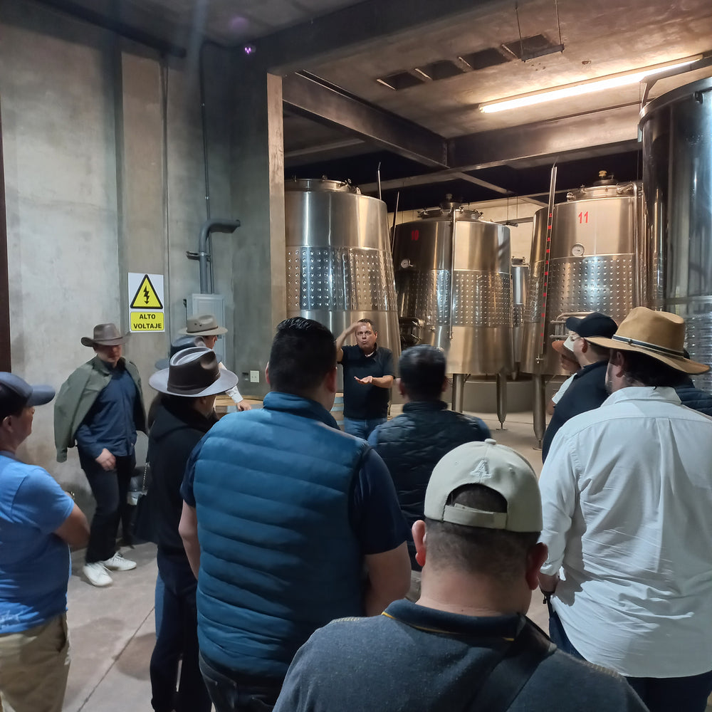 
                  
                    Tour | Recorrido por viñedos y bodega
                  
                