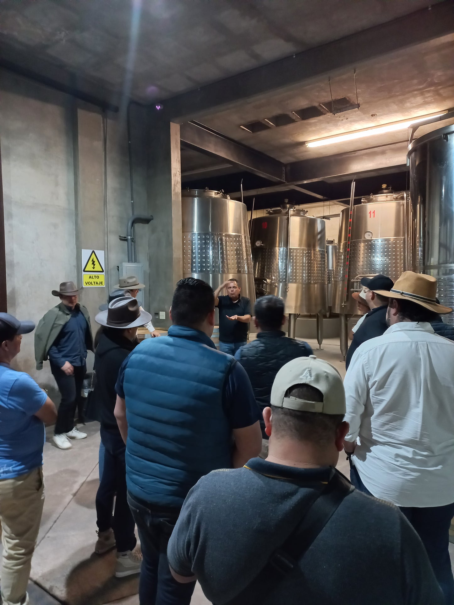 
                  
                    Tour | Recorrido por viñedos y bodega
                  
                