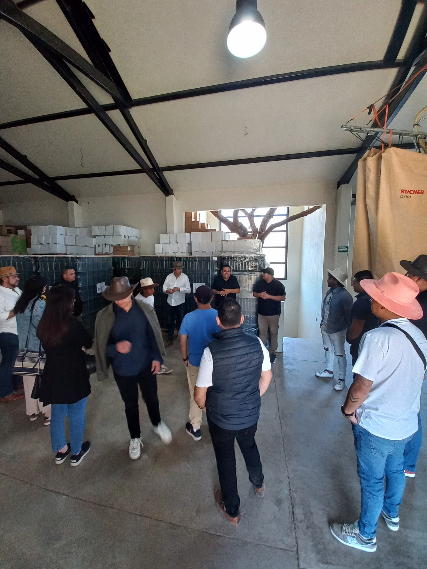 
                  
                    Tour | Recorrido por viñedos y bodega
                  
                