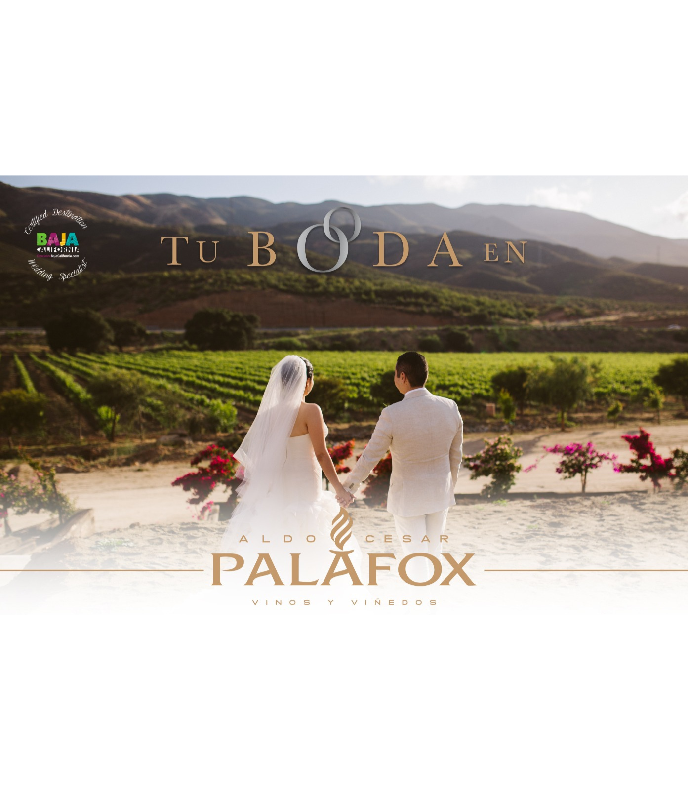 
                  
                    Tu Boda
                  
                